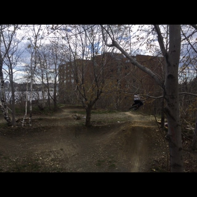 shifting sand land