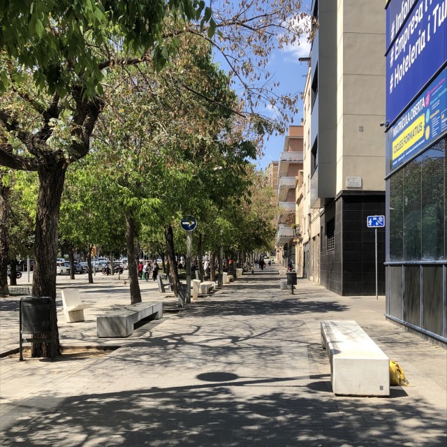 Sagrera benches