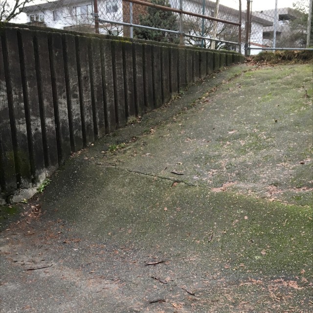 Wall/quarter pipe