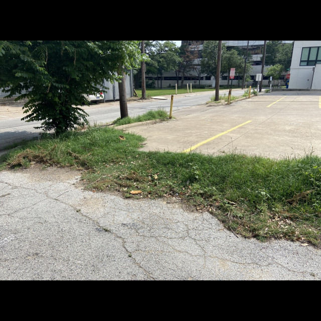 crusty grass gap