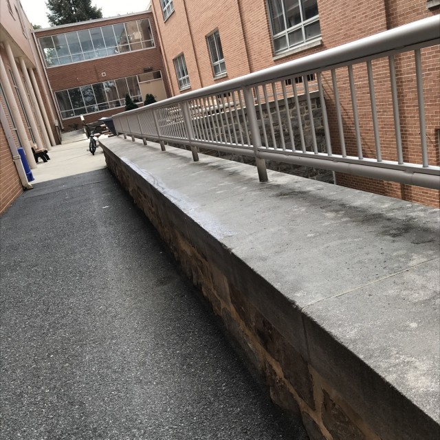 wilson ledge spot 
