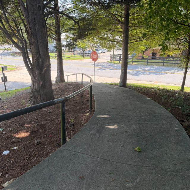 Long Curved down rail