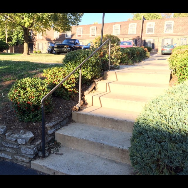 Spot #6314