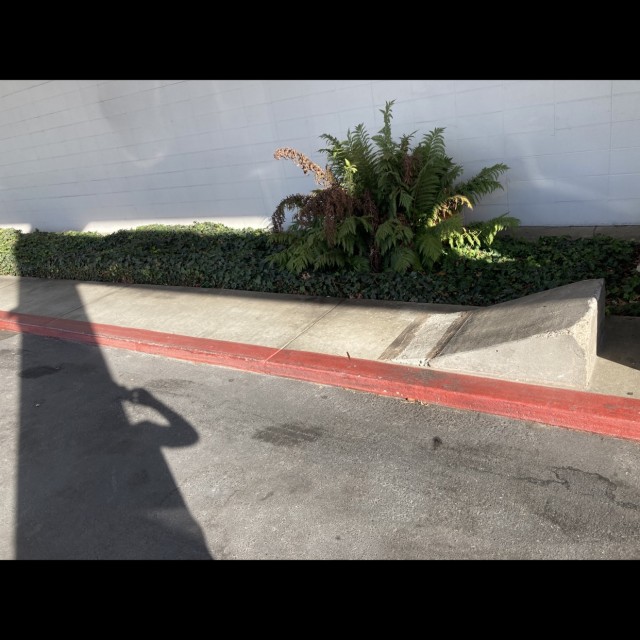 Ramp with really good grind spot