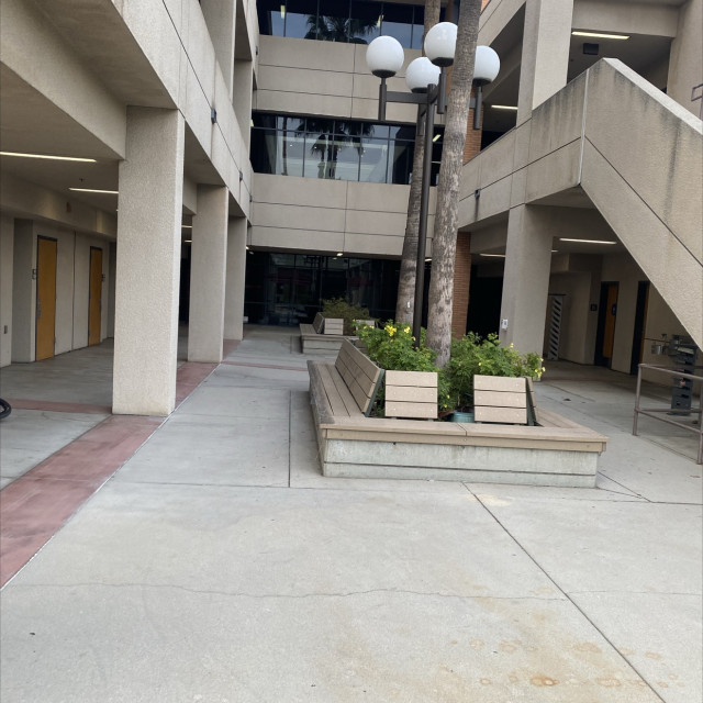 Spot #29462