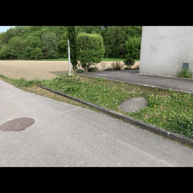 Francis‘ Gap