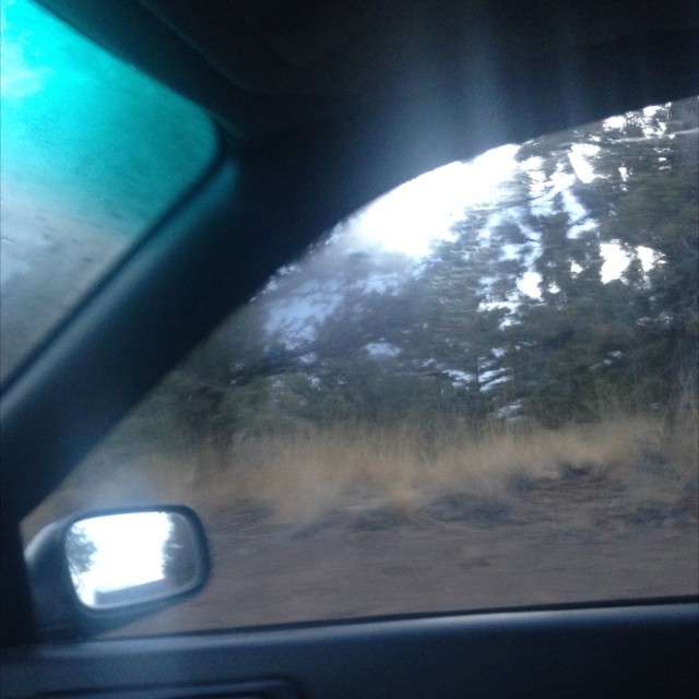 Spot #9449