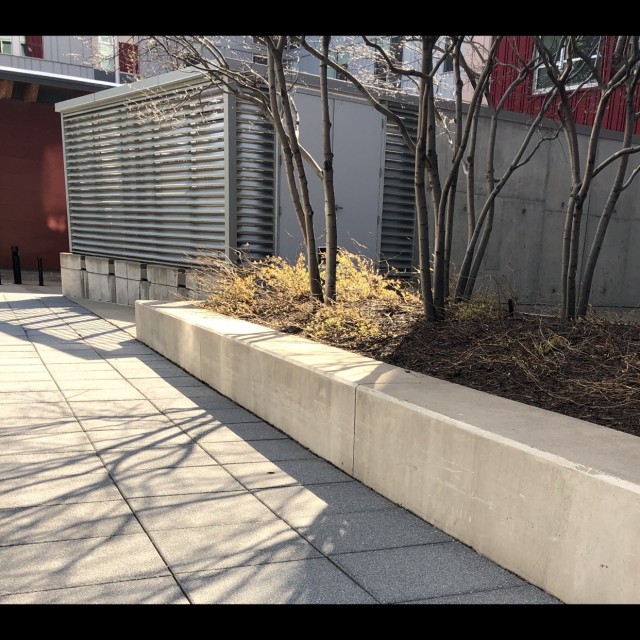 Very healthy ledge