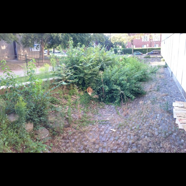 Spot #5636