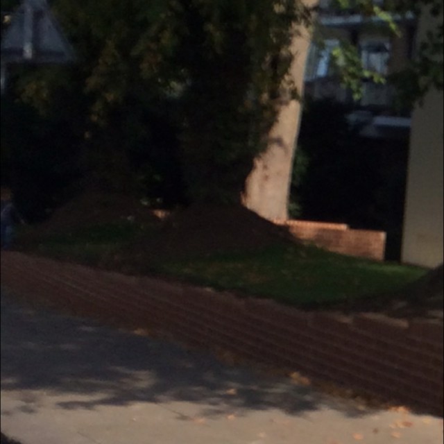 Spot #6167