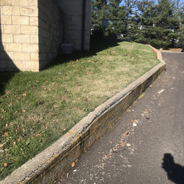 Waxed high curb 