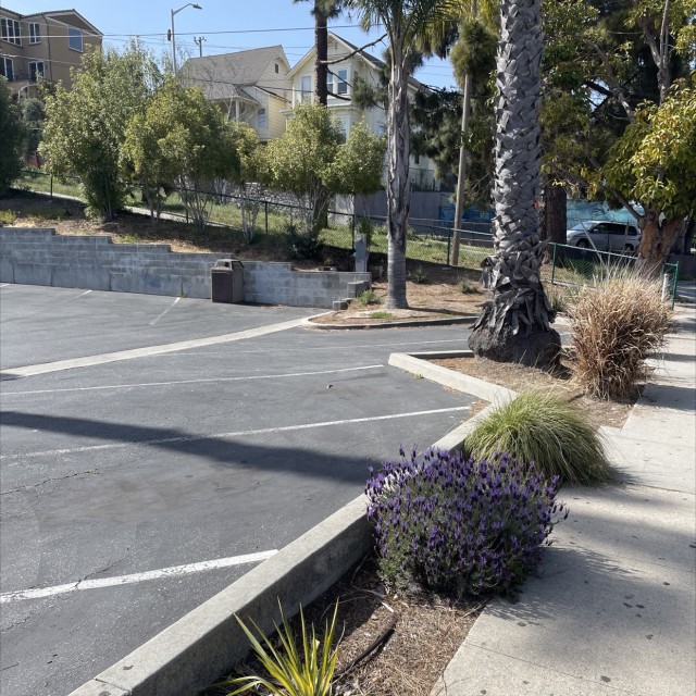Santa Cruz gap