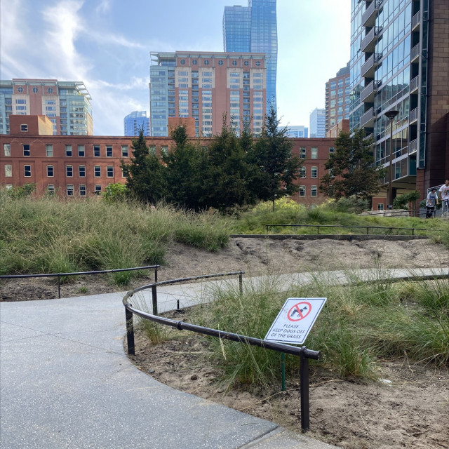 Dog park rail