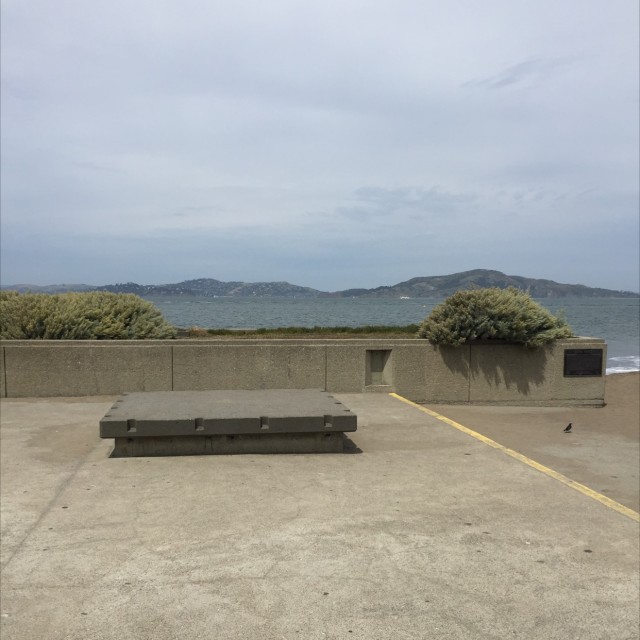 Spot #7377