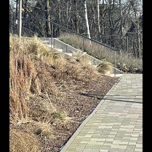 Handrail