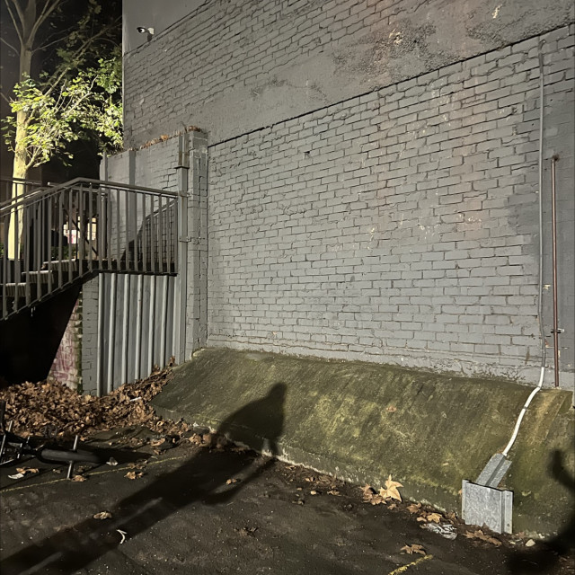 Spot #47533