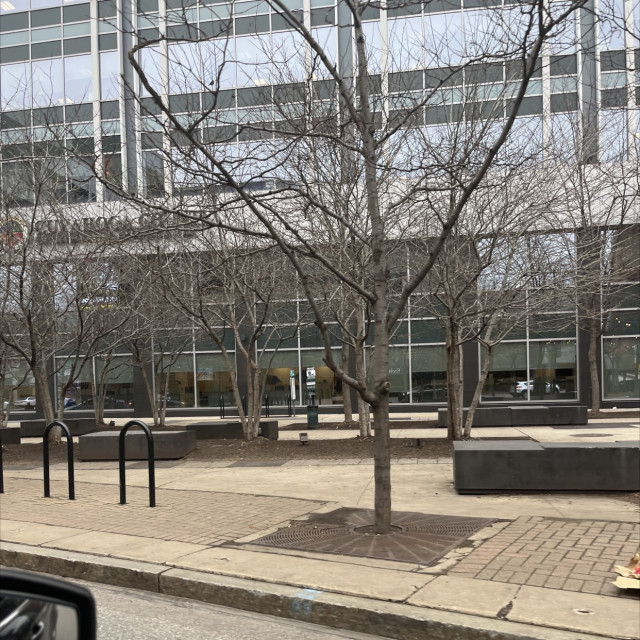 Spot #35738