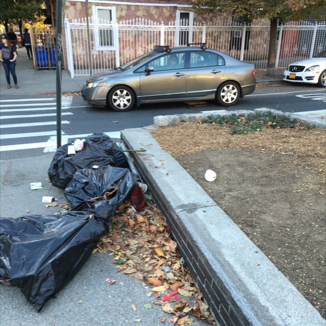 Spot #6372