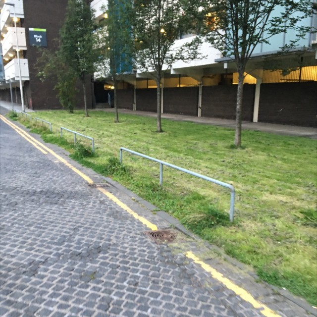 Spot #7999