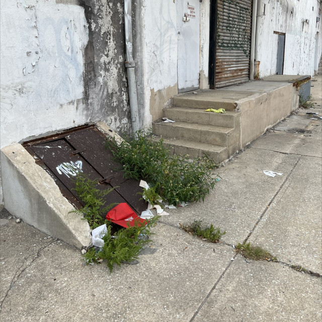 Gap to cellar