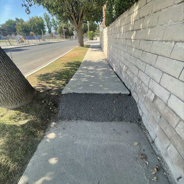 Tree ramp