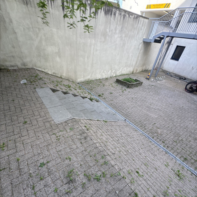 Spot #49010