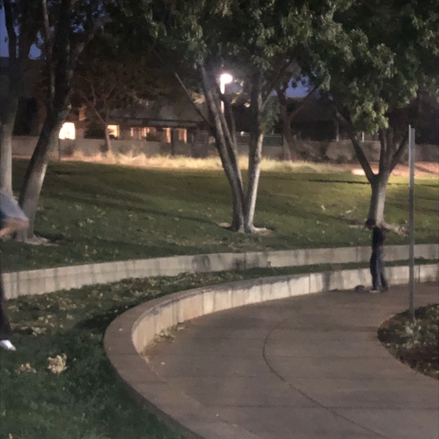 Baseball ledges