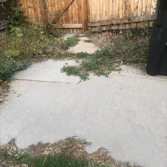 Fun hip