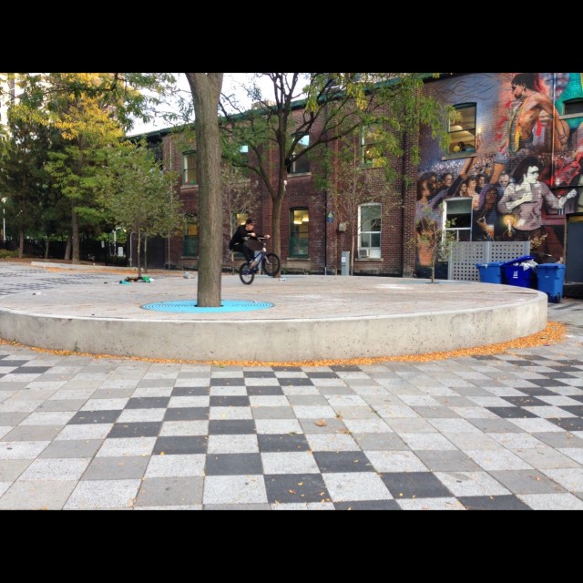 Spot #6024