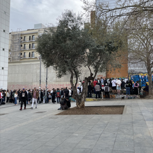 MACBA three block