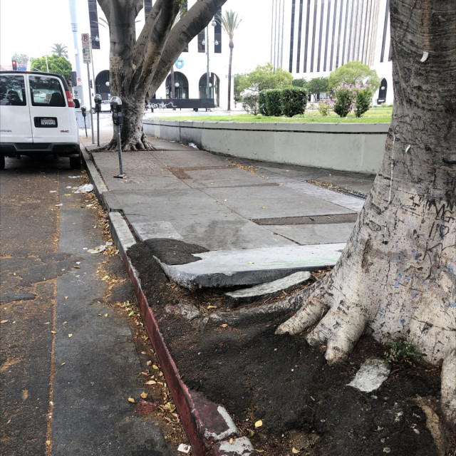 Jkwon Sideway kicker