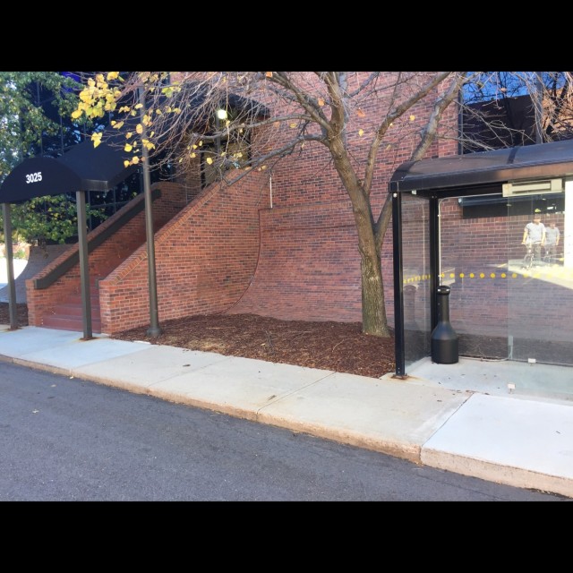 Spot #6275