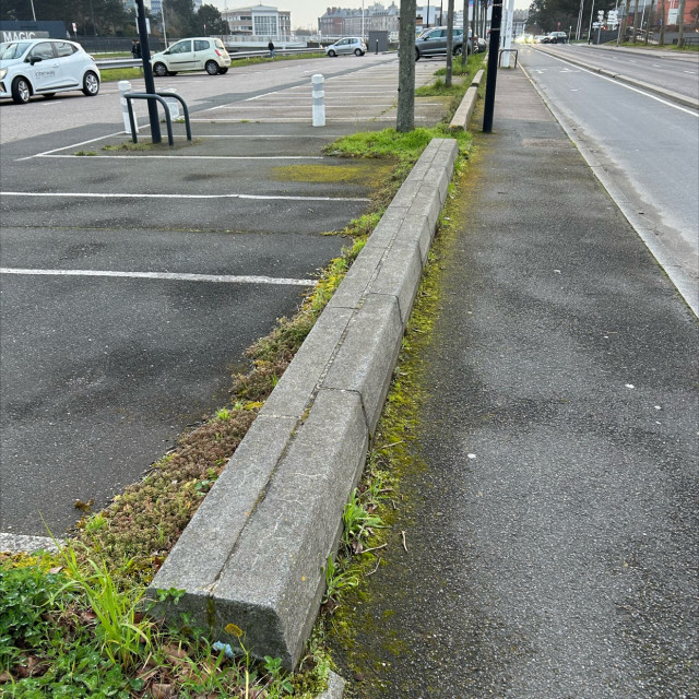 Colbert oversized curb