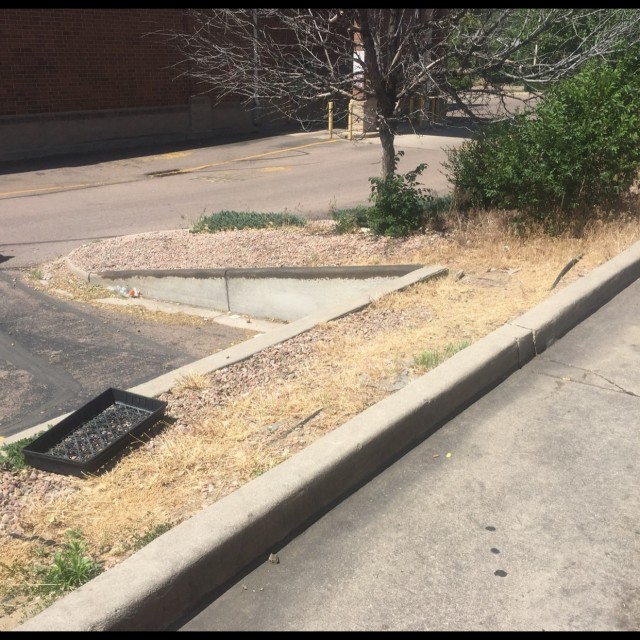 gap to ledge