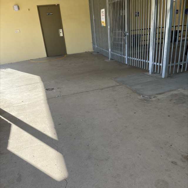 Kate Sessions School spot