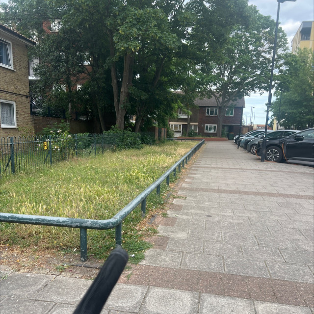 Long fat rail